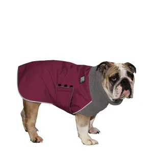 English Bulldog Winter Coat