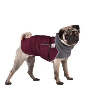 Pug Winter Coat