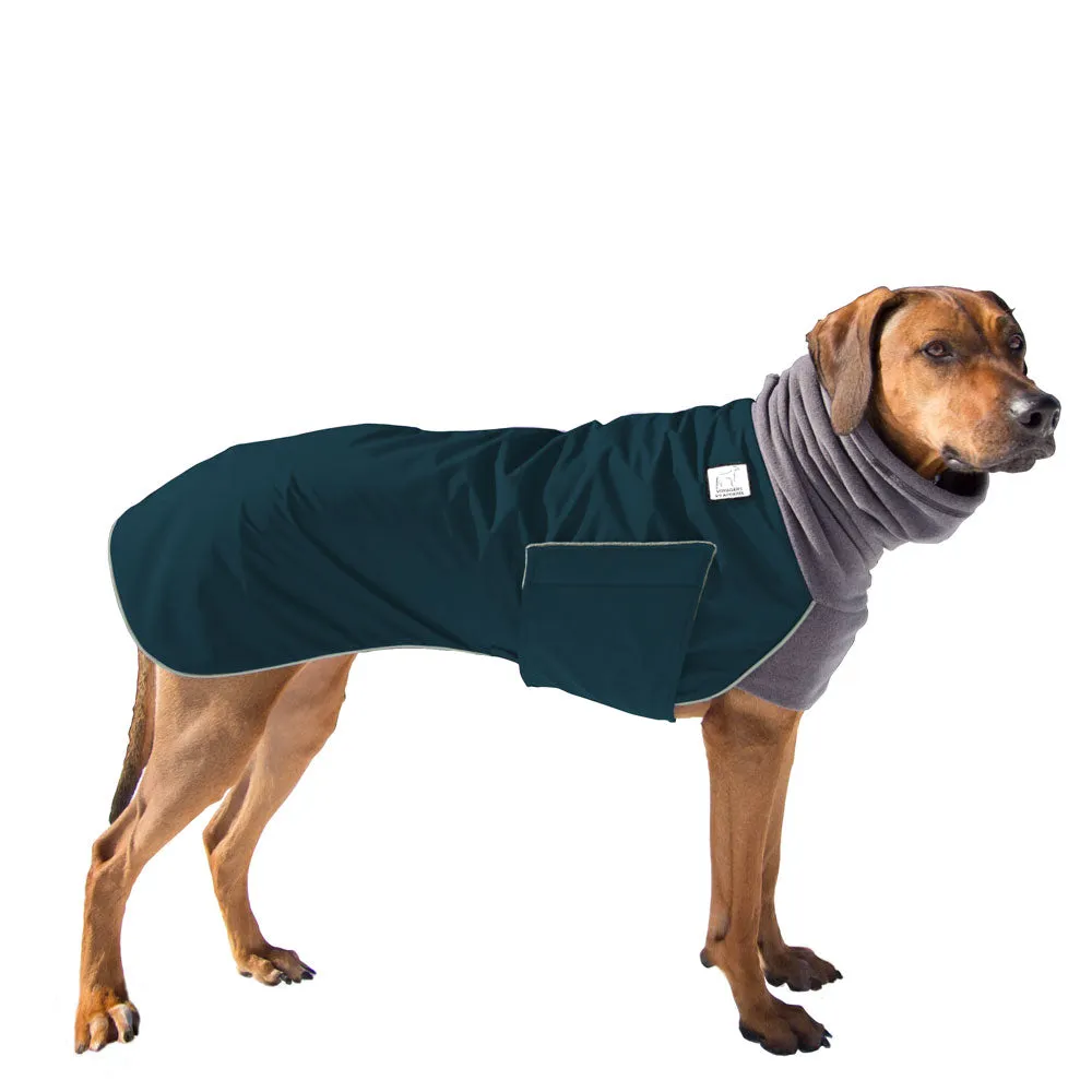 Rhodesian Ridgeback Winter Coat