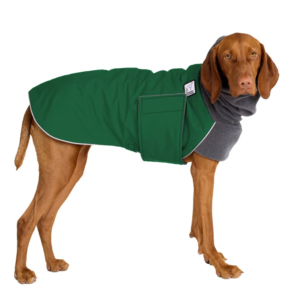 Vizsla Winter Coat