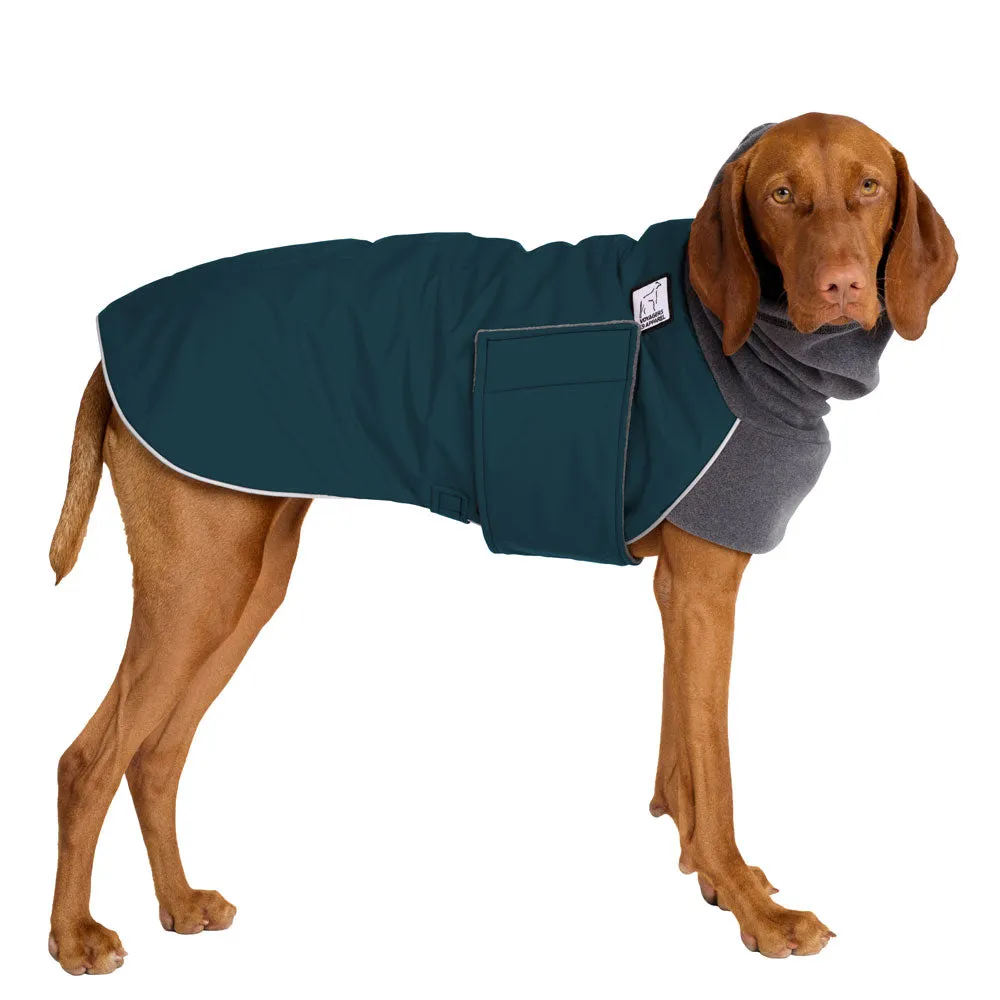 Vizsla Winter Coat